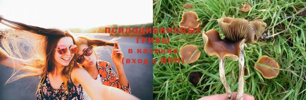 бошки Белокуриха