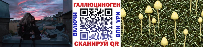 Псилоцибиновые грибы GOLDEN TEACHER  Шумиха 